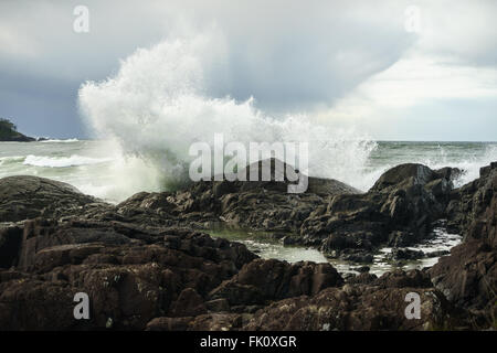 Pettinger Point in Tofino, British Columbia on the west coast of Vancouver Island Stock Photo