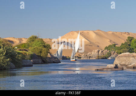 Traditional Egyptian sailing boats are sailing down the Nile near Aswan city. Sand dunes and blue sky are in the background. Stock Photo