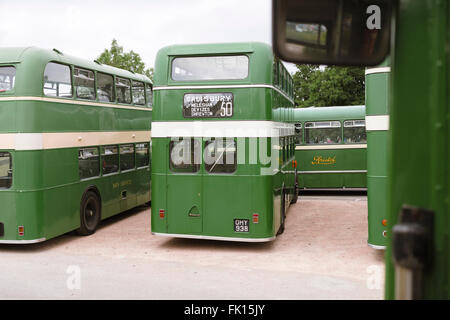 A gathering of green 1950s restored vintage Bristol buses at the annual Bristol Vintage Bus Rally. Stock Photo