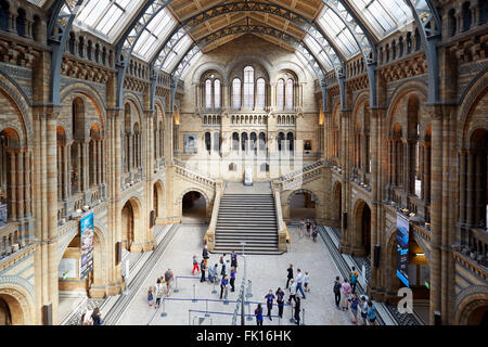 Natural History Museum interior with people and tourists in London Stock Photo