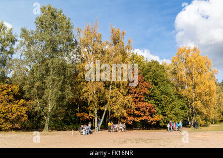 People walking and relaxing in the woods of Utrechtse Heuvelrug near Doorn in the Netherlands on a sunny Sunday in autumn Stock Photo