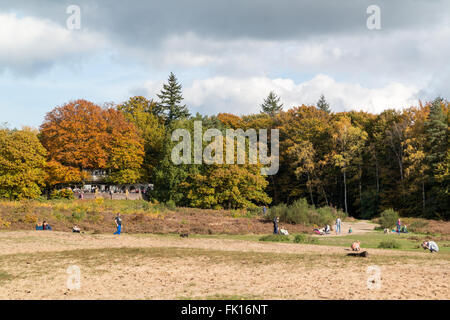 People walking and relaxing on a sunny Sunday in autumn in the woods of Utrechtse Heuvelrug in Doorn, Netherlands Stock Photo