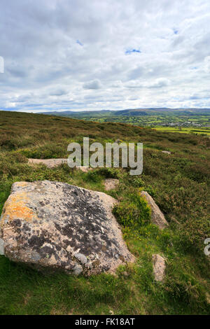 Summer view over Mardon Down near Moretonhampstead village, Teignbridge District, Dartmoor National Park, Devon County, England, Stock Photo