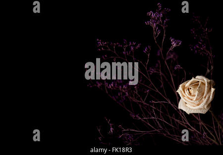 Horizontal photo of a withered white rose with branches on dark background Stock Photo