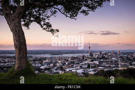 A view Auckland at sunset from the remnant volcano, Mt. Eden. Stock Photo