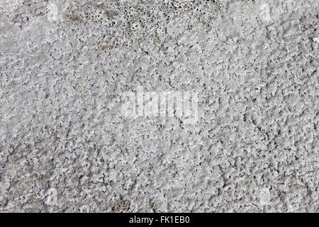 Salt flats texture Stock Photo