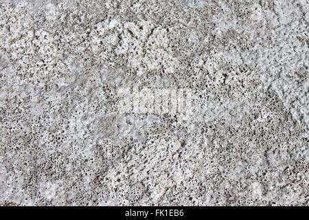 Salt flats texture Stock Photo