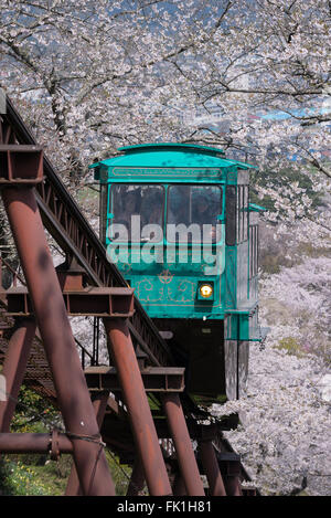 A slope car makes its way down a trail of cherry blossoms from the top of a hill in Funaoka Castle Ruin, MIYAGI,JAPAN Stock Photo