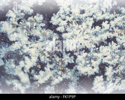 ice flowers Stock Photo