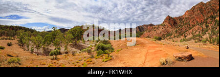 dry riverbed with random eucalyptus trees during dry season deep in Flinders ranges national park. Unsealed road through Brachin Stock Photo