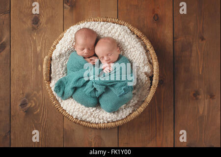 Newborn twin baby boys sleeping in a wicker basket. Stock Photo