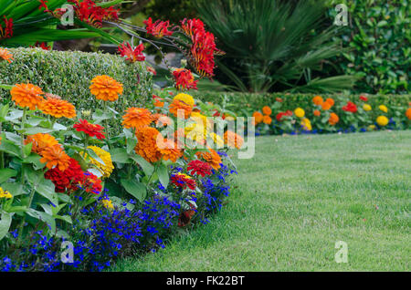Landscape design manicured box hedge garden triangular arrangement ...