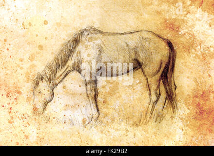 Draw pencil horse on old paper, vintage paper and old structure with color spots Stock Photo