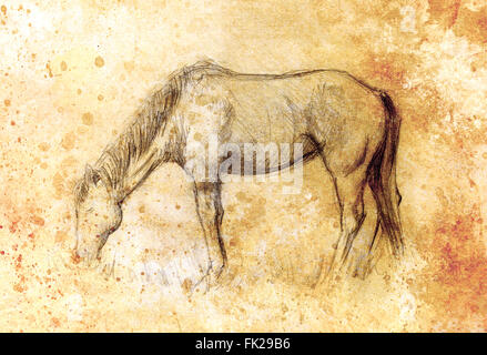 Draw pencil horse on old paper, vintage paper and old structure with color spots Stock Photo