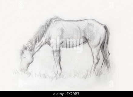 Draw pencil horse on old paper, And old vintage paper structure Stock Photo