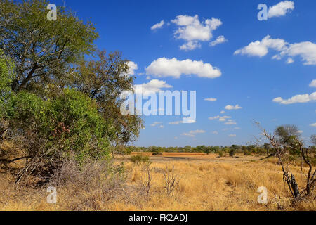 African Landscape in Kruger National Park, South Africa Stock Photo