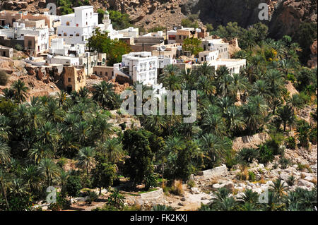 Wadi Tiwi with garden terraces in the Sultanate of Oman Stock Photo