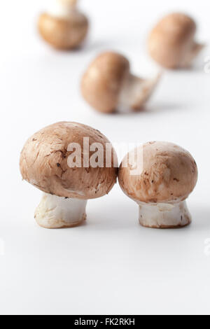 Fresh raw Chestnut mushrooms on white background Stock Photo
