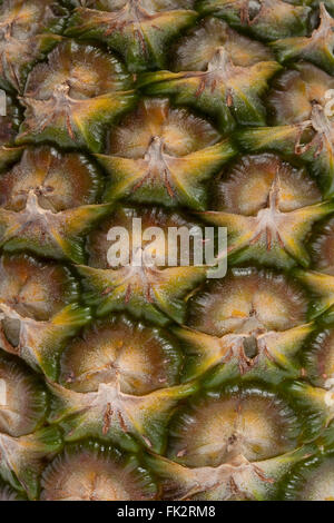 Close up of the skin of a pineapple Stock Photo
