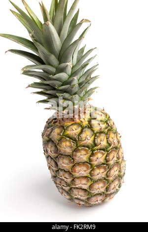 One fresh whole pineapple on white background Stock Photo