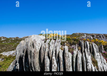 Dursey Island, Beara Peninsula, County Cork, Ireland - August 18, 2010: Dursey Island is separated from the mainland by a narrow Stock Photo