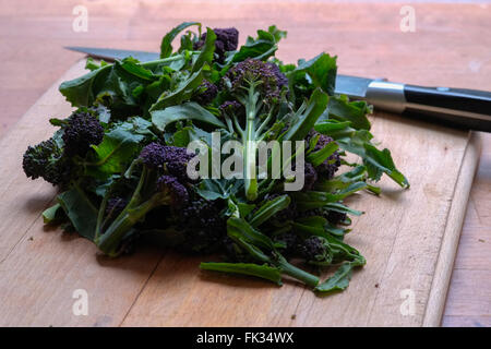 Organic purple sprouting broccoli chopped Stock Photo