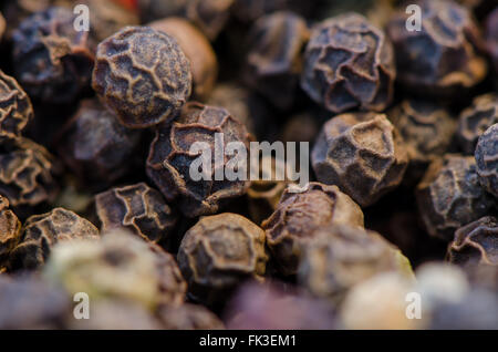 Selective focus on peppercorns using a macro approach Stock Photo