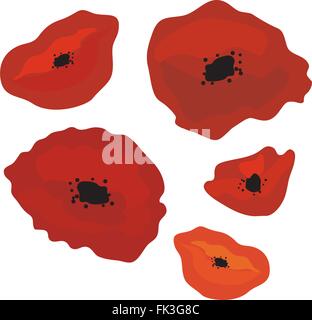 vector illustration of red poppies floral background Stock Vector