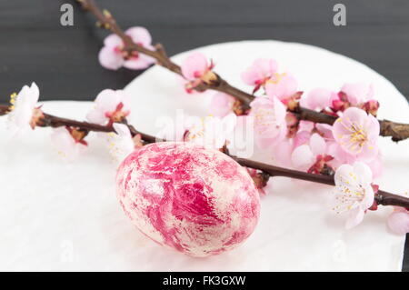 Decorated Easter eggs and fresh cherry blossom tree Stock Photo