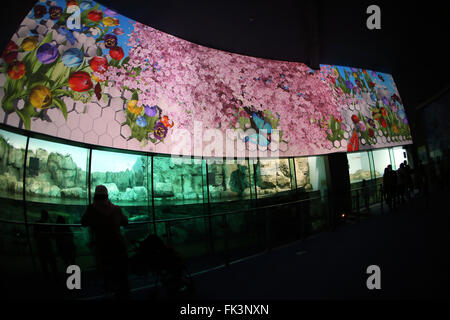 Tokyo, Japan. 5th Mar, 2016. A projection mapping is displayed on walls at the Hakkeijima Sea Paradise in Yokohama, Kanagawa prefecture on Saturday, March 5, 2016. The amusement park with aquarium introduced their new attraction 'Rakuen no aquarium (aquarium of paradise)' where floral images appear on the walls and interior of the aquarium. © Yoshio Tsunoda/AFLO/Alamy Live News Stock Photo