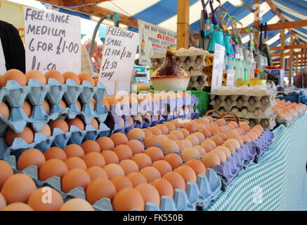 Trays of free range hen eggs for sale on a market stall in Derbyshire, England UK Stock Photo