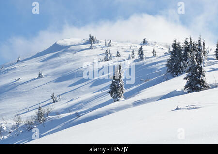 Winter calm mountain landscape with snow covered firs on ridge Stock Photo
