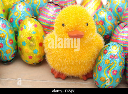 A little chicken with chocolate easter eggs Stock Photo