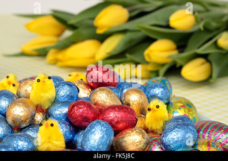 Chocolate easter eggs with little chickens on top and yellow tulips in the background Stock Photo