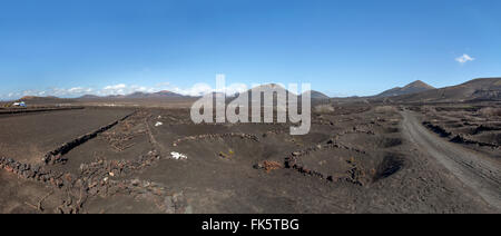 Winegrowing area La Geria in the volcanic landscape in the south of Lanzarote, Canary Islands, Spain. Stock Photo