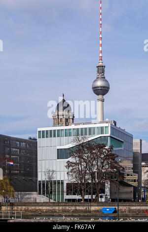 Dutch Embassy exterior, Klosterstraße 50,Mitte, Berlin, Germany. Modern building designed by Architect Rem Koolhaas Stock Photo