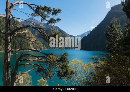 Long Lake, Jiuzhaigou National Park, Sichuan Province, China, Unesco ...