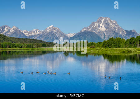 Small lake in Grand Teton National Park, Wyoming, United States of America, North America Stock Photo