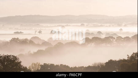 Mist covered countryside at dawn, Cheriton Bishop, Devon, England, United Kingdom, Europe