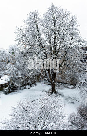 Snow scenery in a backyard in Duesseldorf, Northrhine-Westphalia, Germany Stock Photo