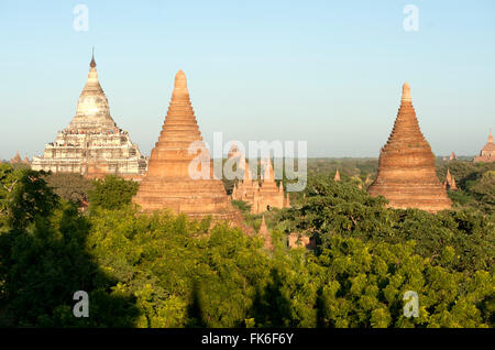 Terracotta temples of Bagan, founded in the 9th century, in the late afternoon sunlight, Bagan (Pagan), Mandalay division Stock Photo