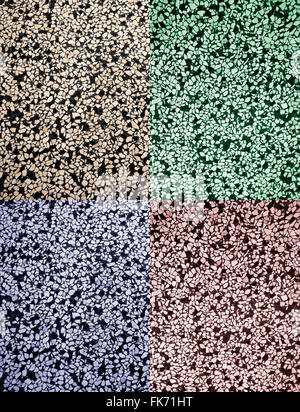 Stone mosaic floor in four different natural color schemes. Stock Photo