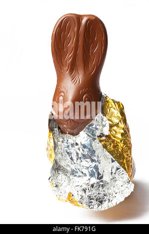 Chocolate Rabbit Stock Photo