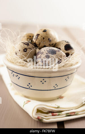 Quails eggs in a bowl Stock Photo