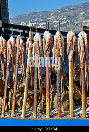 Octopus on a skewer firewood at the beach Stock Photo