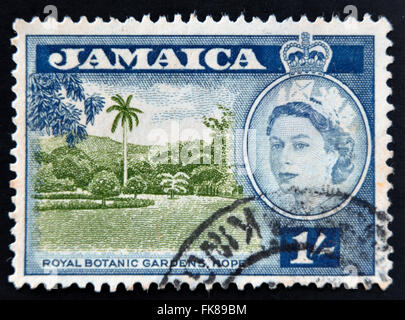 JAMAICA - CIRCA 1956: A stamp printed in Jamaica shows royal botanical gardenss, Hope, circa 1956 Stock Photo