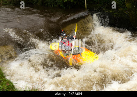 A kayak on the river Tawe at  Craig-y-Nos Country Park.  The kayak has just passed over a weir into the white water below. Stock Photo