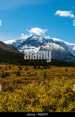 View from Highway Icefields Parkway, Highway 93, Canadian Rockies, Alberta Province, Canada Stock Photo