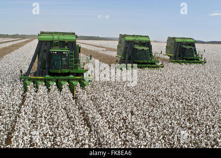 Cotton harvest in the rural area of Costa Rica - Mato Grosso do Sul Stock Photo