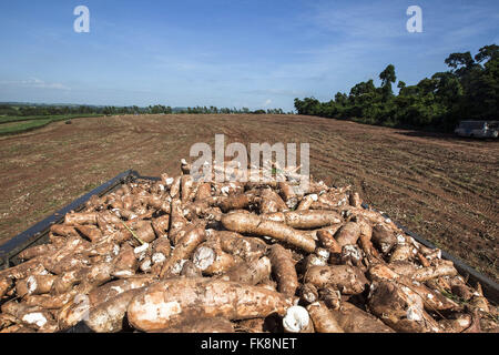 Cavassa hi-res stock photography and images - Alamy